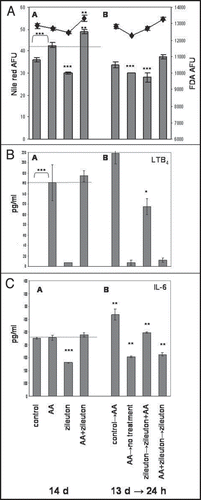 Figure 1 Neutral (sebaceous) lipids and cell numbers (A), LTB4 generation (B) and IL-6 release from SZ95 sebocytes (C). (A) SZ95 sebocytes were treated for 14 d with AA (10−5 M), Zileuton (5 × 10−5 M) or AA (10−5 M) + Zileuton (5 × 10−5 M). Untreated cultures served as controls. (B) SZ95 sebocytes treated for 13 d as mentioned in panel A were switched for 24 h to following treatments: Control → AA; AA → no treatment; Zileuton → Zileuton + AA; AA + Zileuton → Zileuton. In (A), columns represent the amount of intracellular neutral lipids measured in nile red absolute fluorescence units (AFU) and diamonds represent cell numbers measured in fluorescein diacetate (FDA) AFU. The results are representative of three individual experiments and show the mean ± SD of 6 (A) or 3 (B and C) wells. *p ≤ 0.05, **p < 0.01, ***p ≤ 0.001 (from ref. 22).