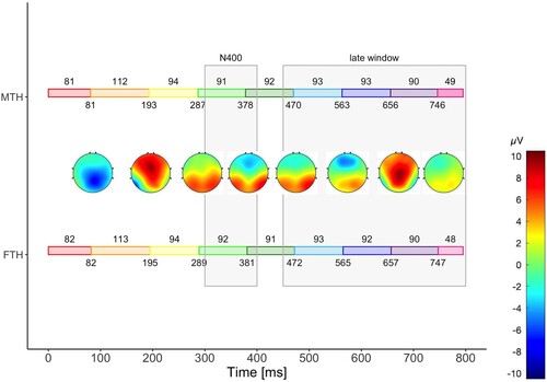 Figure 4. Bump topologies and stage durations for the combined model from quantifier onset plotted in each condition separately, more than half (MTH) and fewer than half (FTH). The coloured bars indicate the stage durations. The values above the coloured bars show the mean stage durations, and the values below the average onset of the bumps. Additionally, the gray lines indicate the ERP analysis time windows from Augurzky et al. (Citation2020).