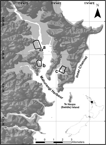 Figure 1 Distribution of the Pacific oyster (Crassostrea gigas) farms within the Mahurangi Harbour in northern New Zealand: a, Dyers; b, Brownes Bay; c, Te Kapa. Light grey areas indicate the areas affected by the tides. (Map courtesy of Andres Zamora).