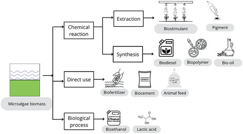 Figure 2. Utilization of microalgae growing on POME.