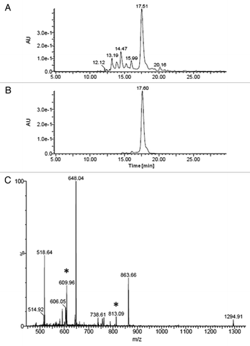 Figure 4. (A) HPLC‐UV traces of crude PNA 3-napht after modification; (B) HPLC‐UV traces of PNA after purification; (C) ESI-MS spectra of modified PNA 3. Peaks marked (*) are multicharge peaks due to source-fragmentation at the C5-methylene position of uracil.