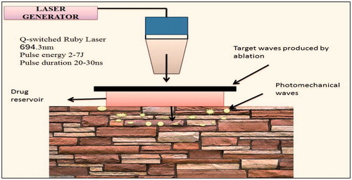 Figure 9. Enhancement of transdermal permeation by photochemical wave devices.