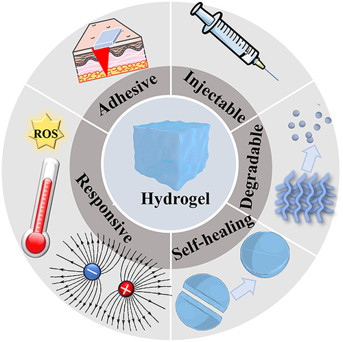 Figure 5 Properties of hydrogels: injectable, self-healing, adhesiveness and responsiveness.