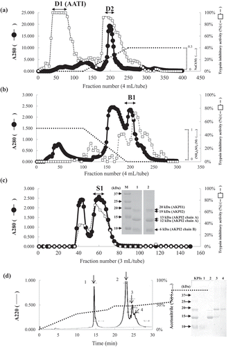 Figure 1. Purification of protease inhibitors from Apios americana tubers.(a) DEAE Cellufine A-500 column chromatography, (b) Butyl-Cellufine column chromatography, (c) Sephadex G-50 column chromatography and SDS-PAGE of S1 fractions (M, Marker; Lane 1, S1 fraction in the absence of β-mercaptoethanol, Lane 2, S1 fraction in the presence of β-mercaptoethanol), and (d) Elution profile of RP-HPLC on a YMC-Pack Protein-RP and SDS-PAGE of fractions 1 ~ 4.