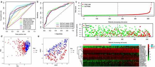 Figure 2. The results of EMT-related gene signature based on TCGA. A. the AUC values of the risk factors; B. the AUC values of the patients’ 1, 3, 5-year survival rate; C. risk score distribution map and the survival status map; D. PCA analysis; E. t-SNE analysis