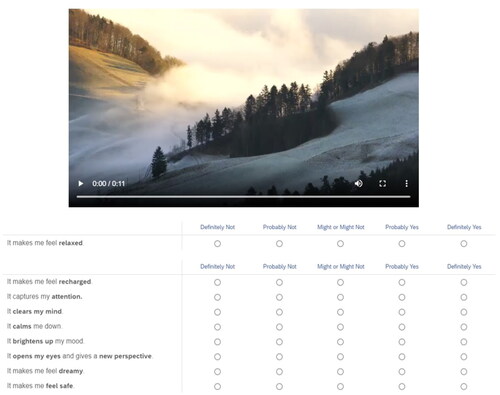 Figure A1. Example of video assessment page in online survey.