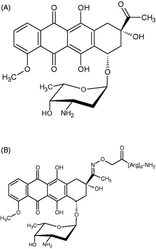 Figure 1. Chemical structure of daunomycin (A) and its Arg6 conjugate (B).