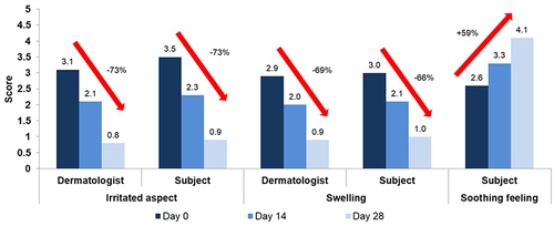 Figure 3 Perception of the irritated, swelling, and soothed aspect of the eye contours at Day 0, Day 14 and Day 28. The eye contour had significantly (p<0.0001) improved according to the dermatologists and the subjects. Moreover, subjects reported a significantly (p<0.0001) improved soothed eye contour.