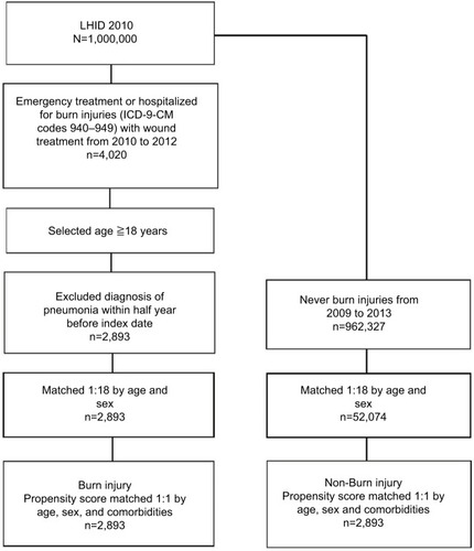 Figure 1 Flow chart for burn injury patient’s selection.