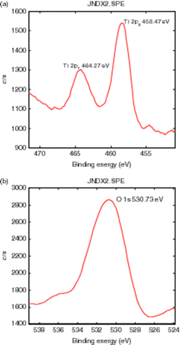 Figure 5. XPS spectra of B3+ and F− co-doped TiO2 sample: (a) Ti 2p and (b) O 1s.
