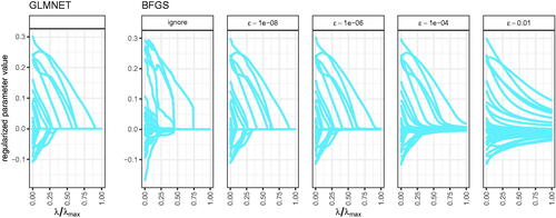 Figure 10. Regularized parameters estimates of the first repetition for exact solutions (using the specialized optimizer GLMNET) and approximate solutions (using the general purpose optimizer BFGS) for different levels of smoothing parameter ϵ.