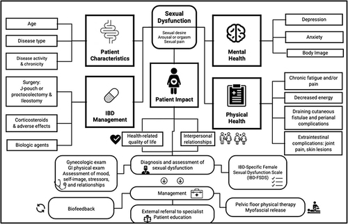 Figure 3 Displays a comprehensive overview of the factors which contribute to sexual dysfunction among women with IBD, including patient mental and physical health comorbidities, IBD disease characteristics and surgical and medical management of IBD. Downstream effects of sexual dysfunction, diagnostics and management options are also depicted.
