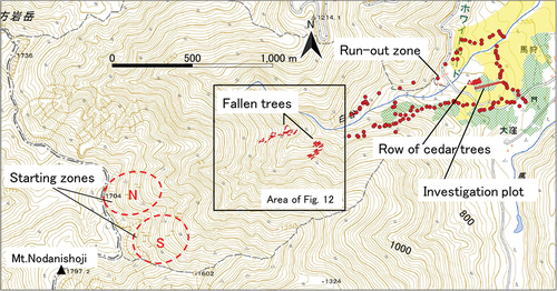 Figure 1. Topographic map of the avalanche starting and run-out zones on Mt. Nodanishoji. The starting zones of N- and S-avalanches are shown by the red dashed ellipses. The green hatched areas and the yellow areas indicate the cedar forest and the deciduous broad-leaved forest, respectively. The red dots indicate the observed reach of the avalanche, and the red rectangle and triangles in the run-out zone are the investigation plot of a cedar forest and a row of unbroken cedar trees, respectively. Each small red line represents a fallen tree. This figure was prepared by editing the maps of the Geospatial Information Authority of Japan (GSI).