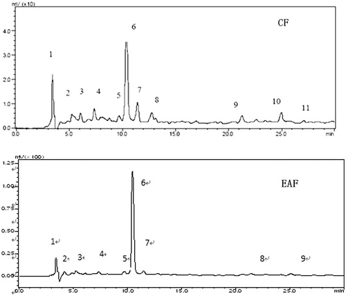 Figure 6. HPLC fingerprints of CF and EAF. CF: chloroform fraction; EAF: ethyl acetate fraction.