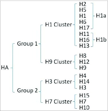 Figure 2. HA Subtypes.