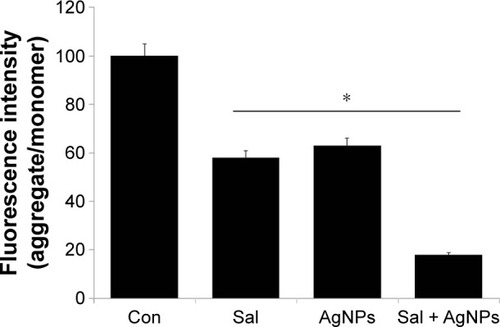 Figure 7 Effect of Sal or AgNPs alone or combination effect of Sal and AgNPs on MMP.Notes: The cells were treated with Sal (3 µM), AgNPs (4 µg/mL), or both Sal (3 µM) and AgNPs (4 µg/mL) for 24 hours. MMP (ratio of JC-1 aggregate to monomer) in ovarian cancer cells was determined after treatment. The results are expressed as mean ± standard deviation of three independent experiments. The treated groups showed statistically significant differences from the control group by the Student’s t-test (*P<0.05).Abbreviations: AgNPs, silver nanoparticles; Con, control; MMP, mitochondrial membrane potential; Sal, salinomycin.