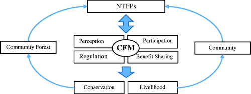 Figure 2. Conceptual framework links between utilization of NTFPs and CFM in community forest for livelihood and biodiversity conservation.