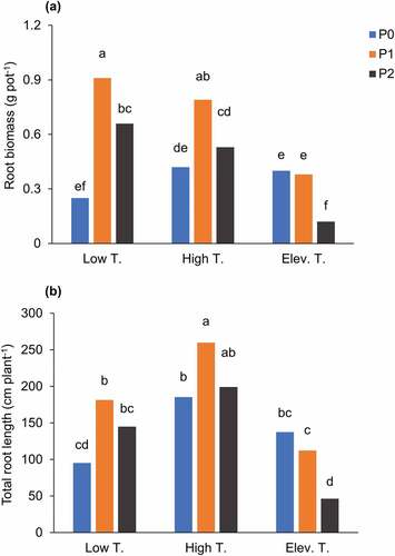 Figure 4. Root biomass (a) and total root length (b) at around cumulative growing degree days of 672°C after transplanting as affected by different temperatures (Low T, High T, Elev. T) and P2O5 concentrations in the slurry (0%, 2.3%, and 4.4% for P0, P1, and P2, respectively). Data are shown as mean values of 0 h and 2 h dipping durations. Different letters indicate that mean values were significantly different among the treatments at 5% according to Tukey’s HSD test. Day/night temperature; 28°/20°C in Low T, 33°/25°C in High T, 36°/27°C in Elev. T.