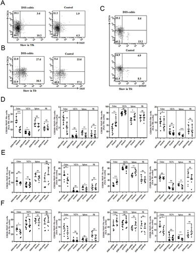 Figure 4 Comparison of CD226 and TIGIT Expressions on Tfh, Tfr and Tfc Cells. (A–C) Representative dot plots showing the expression of CD226 and TIGIT on Tfh in colon. The percentages of CD226+TIGIT-, CD226+TIGIT+, CD226-TIGIT- and CD226-TIGIT+ subsets in Tfh, Tfr and Tfc cells are indicated. (D–F) Comparison of the percentages of four subsets classified by CD226 and TIGIT in the colon, MLNs, spleen and PB between colitis-induced mice (n=8) and controls (n=8). Data are expressed as mean±SD, with symbols representing individual subjects. Statistical significance is indicated by *p<0.05, **p<0.01, and ***p<0.001.