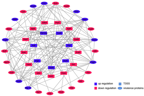 Figure 10 Interaction Network of Differentially Expressed Proteins.