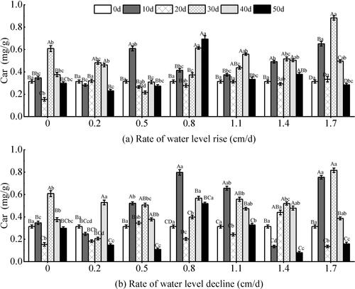 Figure 11. Effect of water level changes on carotenoid (Car) of V. natans. Different capital letters indicate the difference between the same change rate and different test times, and different lowercase letters indicate the difference between the same test time and different change rates.