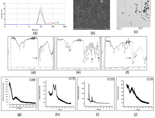 Figure 1. The characterization of developed actinonin nanoparticles. (a) Representative size distribution of actinonin nanoparticles. The three independent formulations are represented in three different colors. (b)Scanning electron microscopic images of actinonin nanoparticles at 70k X magnification. (c) Transmission electron microscopic image of folate conjugated actinonin nanoparticles. The FTIR data of (d) empty HSA nanoparticles, (e) free actinonin, (f) actinonin nanoparticles. The x-ray diffraction analysis of free drugs and nanoformulated drugs. (g) ENP-empty nanoparticles without folate, (h) FA-folic acid-NHS conjugate, (i) F ACT- free actinonin, (j) ANP- actinonin nanoparticles, The y-axis shows the arbitrary intensity units and x-axis – 2θ˚ (angle in degrees). The experiments were performed in triplicate.