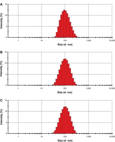 Figure 2 The typical particle size and distribution of SSL, SSL-DOX, and iRGD-SSL-DOX.Notes: The typical particle size and distribution of (A) SSL, (B) SSL-DOX, and (C) iRGD-SSL-DOX.Abbreviations: SSL, sterically-stabilized liposome; SSL-DOX, sterically-stabilized liposome containing DOX; DOX, doxorubicin; iRGD-SSL-DOX, DOX-loaded iRGD-modified SSL; iRGD, tumor-homing peptide.