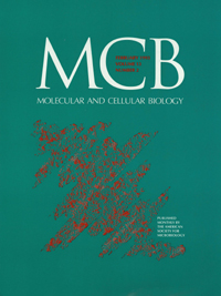 Cover image for Molecular and Cellular Biology, Volume 13, Issue 2, 1993