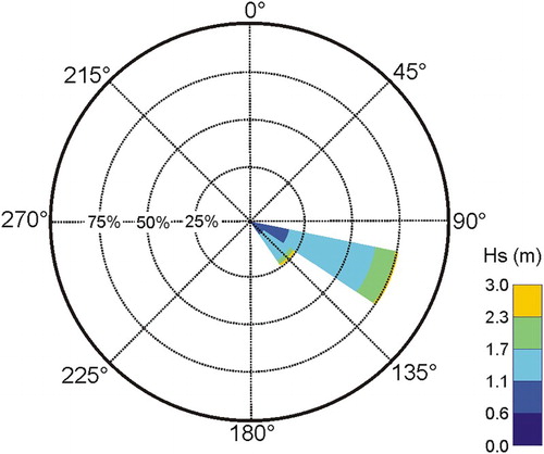 Figure 9. The directional rose of significant wave height (HS) at the DOW point, calculated using the wave data from SMC-Brasil database.