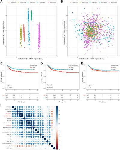 Figure 2 Immunoinfiltration analysis. (A) PCA analysis of five datasets prior to elimination of batch effect. (B) PCA analysis of five datasets after elimination of batch effect. (C) KM curves of StromalScorehigh group and StromalScorelow groups in the merged GEO dataset. (D) KM curves of ESTIMATEScorehigh group and ESTIMATEScorelow groups in the merged GEO dataset. (E) KM curves of ImmuneScorehigh group and ImmuneScorelow groups in the merged GEO dataset. (F) Correlation analysis of immune scores.