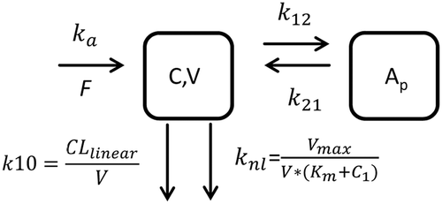 Figure 2. Two-compartment parallel elimination model utilized for fitting both mouse (0.3, 1.5 and 10 mpk) and Dedrick-transformed monkey (10 mpk) concentration versus time data. ka, absorption rate constant; F, bioavailability; k12, transfer rate constant from central to peripheral compartment; k21, transfer rate constant from peripheral to central compartment; C, mAb concentration in central compartment, V, volume of distribution in central compartment; Ap, amount of mAb in peripheral compartment; Vmax, maximum rate of nonlinear elimination; Km, Michaelis–Menten constant; CLlinear, clearance of the linear elimination pathway; k10, elimination rate constant for the linear elimination pathway; and knl, elimination rate constant for the nonlinear elimination pathway.