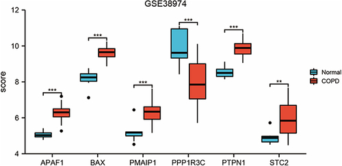Figure 3 Expressions of ERS-related genes in the GSE38974 dataset. **Indicates p<0.01, ***Indicates p < 0.001.