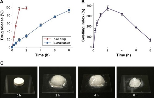 Figure 4 (A) In vitro release profile of RIS from buccal tablets. (B) Swelling index profile of buccal tablets. (C) Images of buccal tablets during swelling studies.
