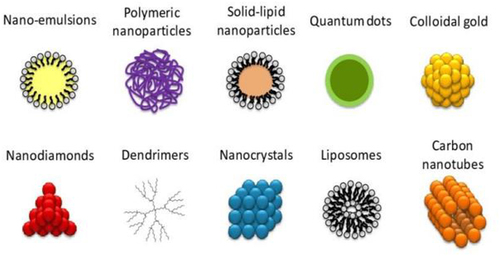 Figure 2 Iron homeostasis in Saccharomyces cerevisiae and major human pathogenic fungi.