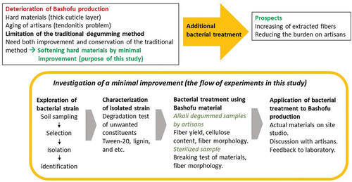 Figure 2. Overview of this study and the flowchart of experiments.