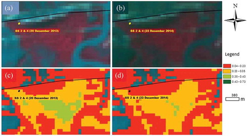 Figure 3. Oil spill sites (SS2 and SS4) detected by Landsat data (a & b) and NDVI (c & d) for 20 December 2013 and 23 December 2014.