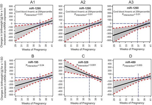 Figure 2. Controlled Direct Effects (CDEs) of selected placenta-derived miRNAs in relation to birthweight at gestational age ranging from 29 to 41 weeks. Panel A1, A2, and A3 illustrate the changes in mean birthweight [g] for a 1-SD increment in placental expression miR-1290 when cord blood arsenic exposure is at 25th, 50th, and 75th percentiles, respectively. Panel B, C, and D illustrate the changes in mean birthweight [g] for a 1-SD increment in placental expression of miR-195, miR-328, and miR-489, respectively. Solid black lines surrounded by shaded area represent the effect estimates and 95% confidence intervals. The horizontal blue dashed lines show the reference values and the vertical blue dashed lines represent the gestational age of 37 weeks. Models were adjusted for natural log cord blood arsenic exposure, maternal age, education, enrollment BMI, number of past pregnancies, infant sex, study site and surrogate variables.