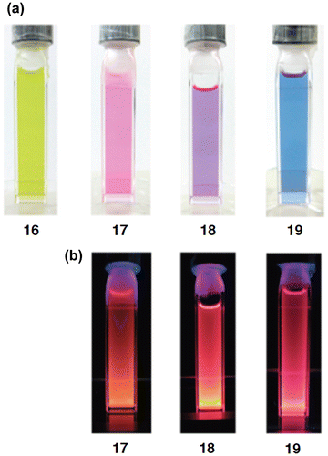 Figure 5. Photographs of the THF solutions of 16–19 at room temperature: (a) under room light; (b) under 360 nm UV light.