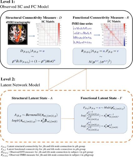 Fig. 1 A schematic representation of the MMM modeling framework.