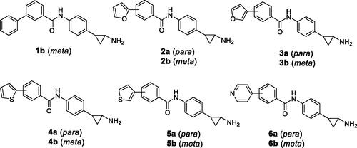 Figure 2. Novel TCP-based analogs as LSD1 inhibitors 1 b-6.