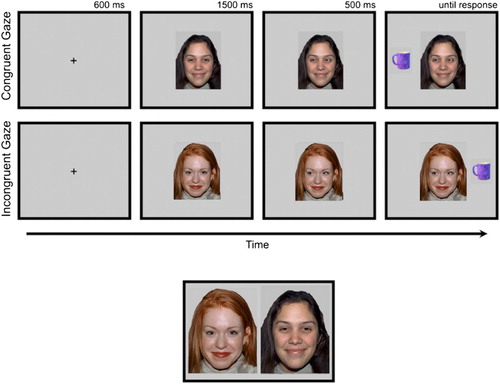 Figure 1. Top panel: trial structure for the gaze cueing task. Valid faces were followed by objects presented on the same side as the shifted gaze; invalid faces were followed by objects on the opposite side. Lower panel: Illustrative example of how face pairs were presented for the trustworthy and memory judgements. Development of the MacBrain Face Stimulus Set was overseen by Nim Tottenham and supported by the John D. and Catherine T. MacArthur Foundation Research Network on Early Experience and Brain Development. Please contact Nim Tottenham at tott0006@tc.umn.edu for more information concerning the stimulus set.