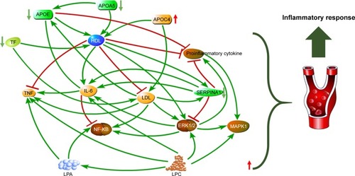 Figure 3 Plasma phospholipid metabolism disturbance in patients with depression.