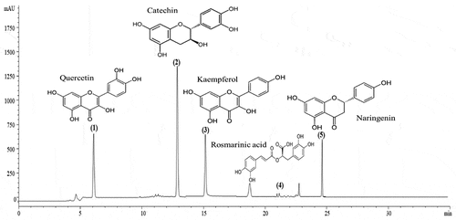 Figure 4. HPLC profile of phenolic compounds of Cleome fruits extract.