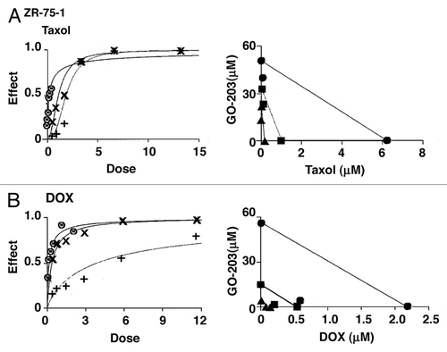 Figure 7. GO-203 is synergistic in combination with taxol and DOX in the ZR-75-1 cell model. (A) ZR-75-1 cells were exposed to fixed IC50 ratios of GO-203 alone, taxol alone and the GO-203/taxol combination. The dose-effect curves for GO-203 alone (+), taxol alone (8) and GO-203/taxol (X) are shown in the left panel. The multiple effect-level isobologram analysis is shown in the right panel for the ED90 (solid circles), ED75 (solid squares) and ED50 (solid triangles). The CI values are listed in Table 2. (B) ZR-75-1 cells were treated with fixed IC50 ratios of GO-203 alone, DOX alone and the GO-203/DOX combination. The dose-effect curves for GO-203 alone (+), DOX alone (8) and GO-203/DOX (X) are shown in the left panel. The multiple effect-level isobologram analysis is shown in the right panel for the ED90 (solid circles), ED75 (solid squares) and ED50 (solid triangles). The CI values are listed in Table 2.