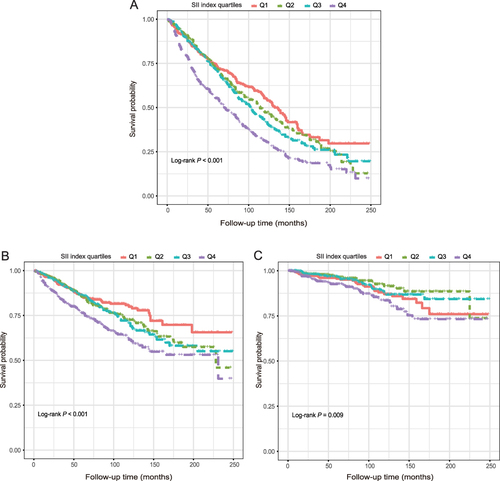 Figure 6 Kaplan-Meier survival curve for all-cause (A), CVD (B and C) cancer-related mortality in CHF patients.