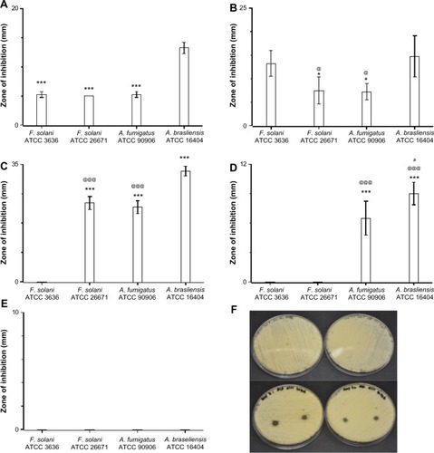 Figure 4 Efficacy of drug-loaded gelatin fiber mats against filamentous fungi. The antifungal activity against Aspergillus and Fusarium strains is expressed as the zone of inhibition measured by radial diffusion assay. Fiber mats loaded with (A) amphotericin B (***P<0.001 compared to Aspergillus brasiliensis ATCC 16404); (B) natamycin (*P<0.05 compared to Fusarium solani ATCC 3636 strains; @P<0.05 compared to A. brasiliensis ATCC 16404 strains); (C) terbinafine (***P<0.001 compared to F. solani ATCC 3636 strains; @@@P<0.001 compared to A. brasiliensis ATCC 16404); (D) itraconazole (***P<0.001 compared to F. solani ATCC 3636 strains; @@@P<0.001 compared to F. solani ATCC 26671 strains; #P<0.05 compared to A. fumigatus ATCC 90906 strains); and (E) fluconazole. (F) Representative photographs showing the zone of inhibition of gelatin (upper panel) and amphotericin B-loaded gelatin (lower panels) fiber mats.Note: The absence of bars in the graph indicates no inhibition against the particular strain.Abbreviation: ATCC, American Tissue Culture Collection.