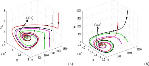 Figure 10. Global stability of the endemic equilibrium E∗ in (a) I−R−Ch (b) I−R−B spaces.