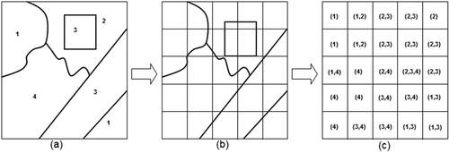 Figure 3. Conversion of a vector map to a raster map with ML: (a) vector data containing polygons with land-use codes; (b) rasterizing vector data; (c) the value of each grid in raster space depends on the land-use code of the polygons which cover them.