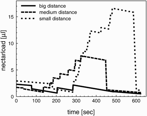 Figure 5. Dynamics of the crop load of three forager bees during one foraging cycle in environments with different flower-to-flower distances. The smaller the flower-to-flower distances are in an environment, the bigger are the nectar loads of returning forager bees.