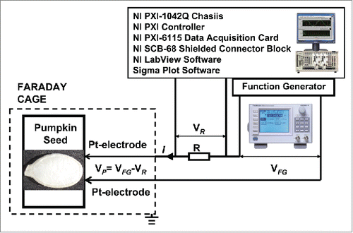 Figure 1. Experimental setup.